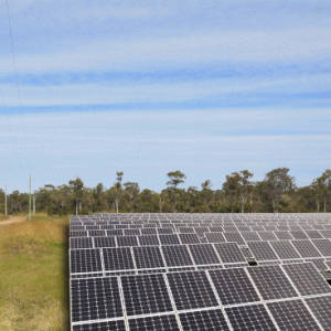 Hervey Bay Solar Farm’s wheels are turning