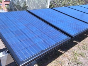 Australian-Made Tindo Solar Panels to Take on Chinese Giants?