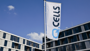 Flag Falls as Q-Cells Files For Insolvency