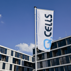 Flag Falls as Q-Cells Files For Insolvency