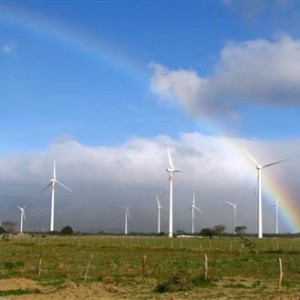 Harnessing Renewable Energy from a Wind Farm