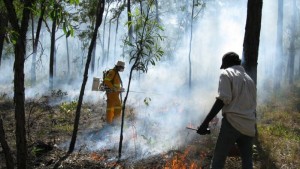 Australia first to approve a Savanna-burning Carbon Credit Project