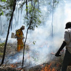 Australia first to approve a Savanna-burning Carbon Credit Project