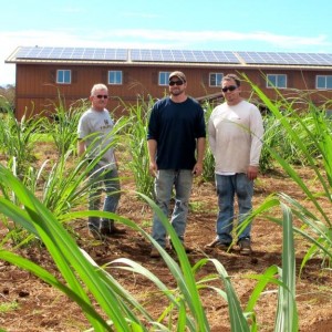 Solar Power Meets Hawaiian Vodka