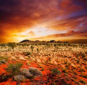 Sunset Desert Beauty