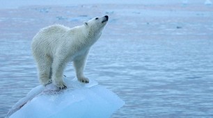 BASIC: On The Same Page For Climate Change