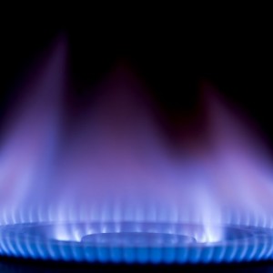 From Intestinal Bacteria To Renewable Propane Energy Source