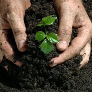 Martin’s Fertilizer reduce electricity bills by switching to solar