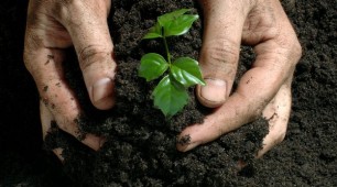 Martin’s Fertilizer reduce electricity bills by switching to solar
