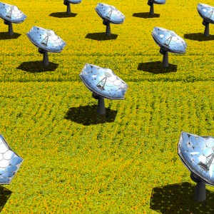 Solar sunflower from IBM enhances sun’s rays 2,000 times to give heat, purify water and power homes