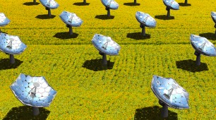 Solar sunflower from IBM enhances sun’s rays 2,000 times to give heat, purify water and power homes