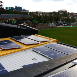 Tigers Roar to Life with the Installation of 100 kW Solar System
