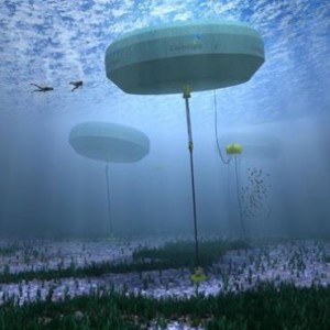 Swinburne University in Australia develops modelling on wave energy farm’s operation