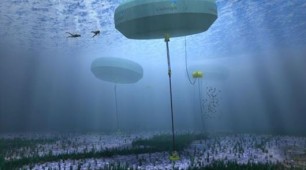 Swinburne University in Australia develops modelling on wave energy farm’s operation