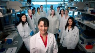 New hybrid material estimated to exceed current solar efficiency record