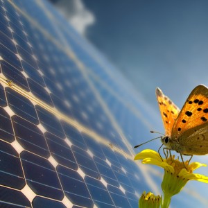 Solar cell efficiency five times better thanks to Australian engineers
