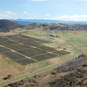 Royalla solar farm opens in Australia