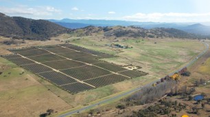 Royalla solar farm opens in Australia