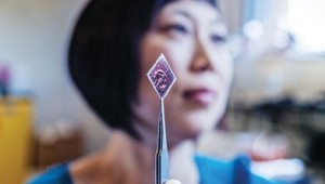 Solar Stickers: The Future of Solar Energy