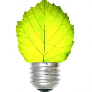 First 100% Renewable Energy Provider ‘ZEN Energy’ Launches