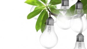Rooftop Solar Installation Affected Most By Economics or Policy?