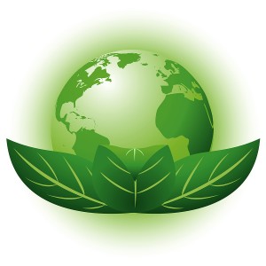 Solar PV Industry Demand Predicted To Grow From 44GW To 50GW