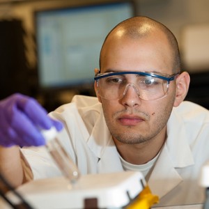 Solar cell technology combined with building materials in Germany
