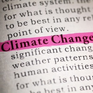 Climate change global action encourages big business to step up