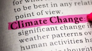 Climate change global action encourages big business to step up