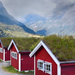 Green roofs now a requirement for commercial buildings in France