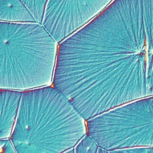 New research uncovers perovskite potential