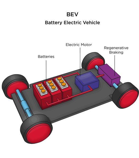 battery electric vehicle different kinds