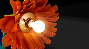 Plant Lamps Power Peru