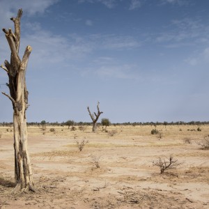 African Union’s $20 Billion Renewable Energy Plan