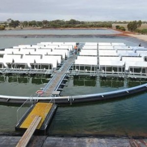Australian made floating solar technology headed to California