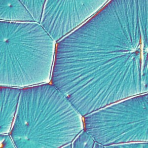 Perovskite Solar Cells Only Two Years Away