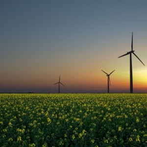 It’s Time To Invest In Renewable Energy