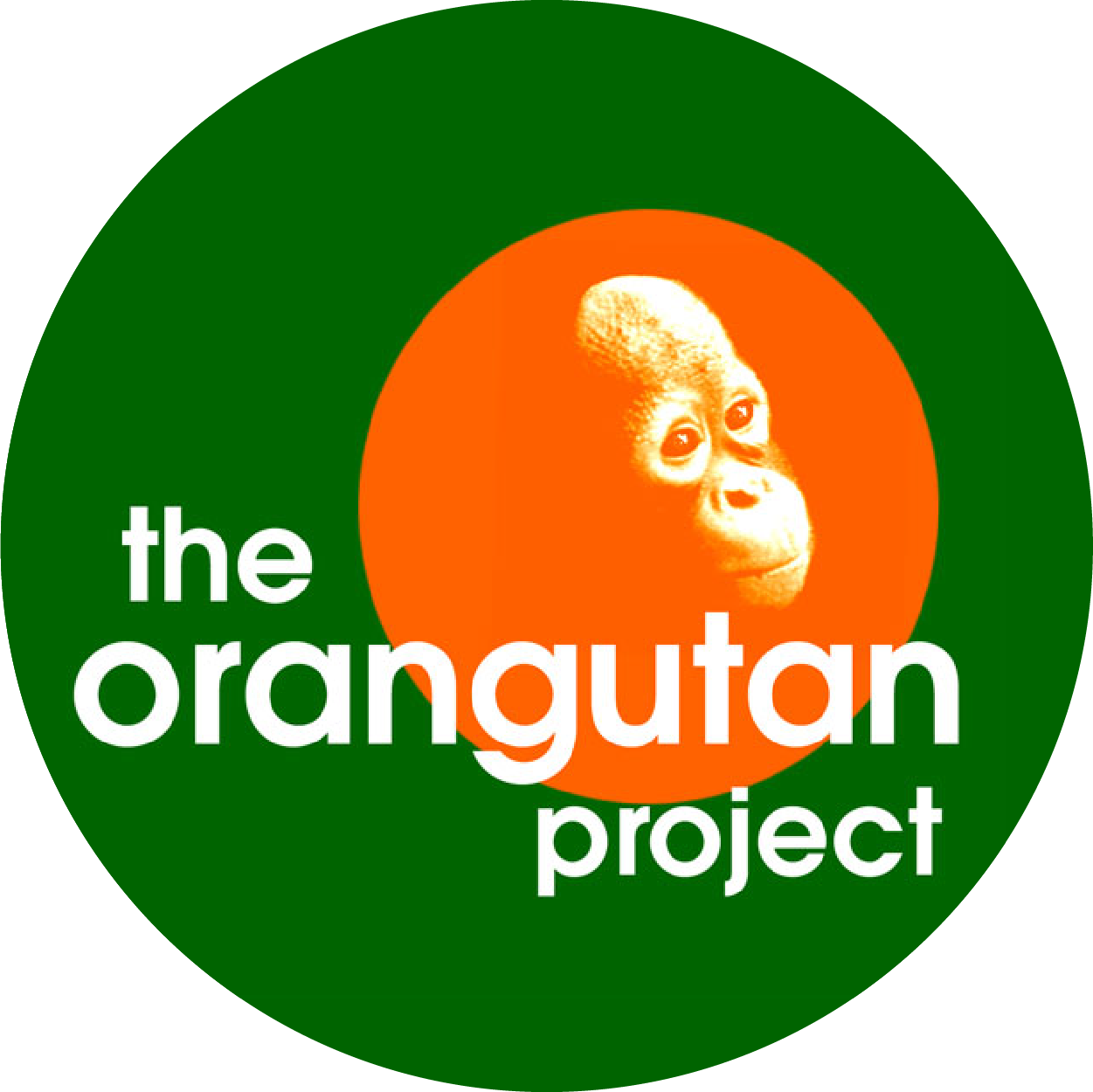 the orangutan project sponsor australian solar quotes