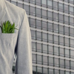 8 Reasons the Business World is Looking for Sustainability Experts