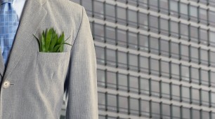 8 Reasons the Business World is Looking for Sustainability Experts 8 Reasons the Business World is Looking for Sustainability Experts