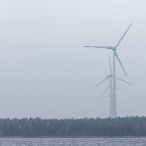 Global renewable energy capacity surges despite tumbling fossil fuel prices