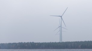 Global renewable energy capacity surges despite tumbling fossil fuel prices
