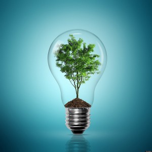 Get Green Power Without Blowing The Budget