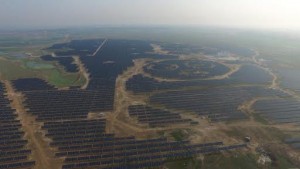 panda, china, solar farm