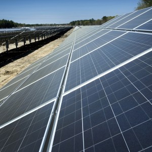 Rugby Run Solar Farm creates 150 Adani jobs