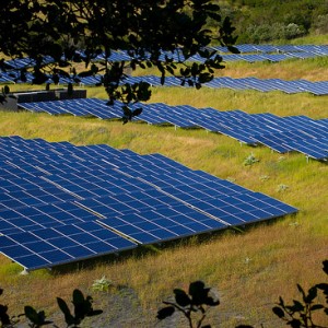 Record year for renewable energy in Australia