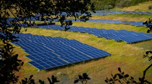 Record year for renewable energy in Australia