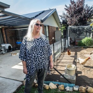 Queenslanders: interest free solar loans & rebates