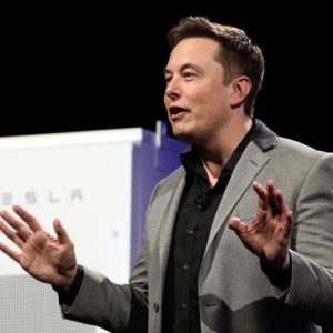 Elon Musk’s renewable master plan